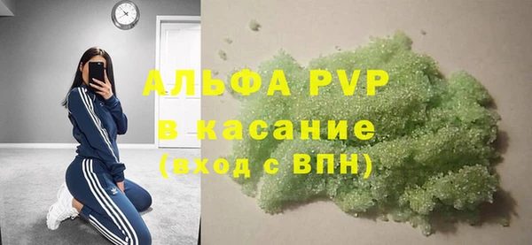 СК Алексин
