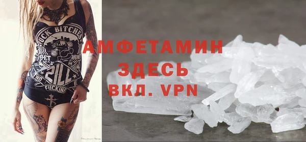 СК Алексин