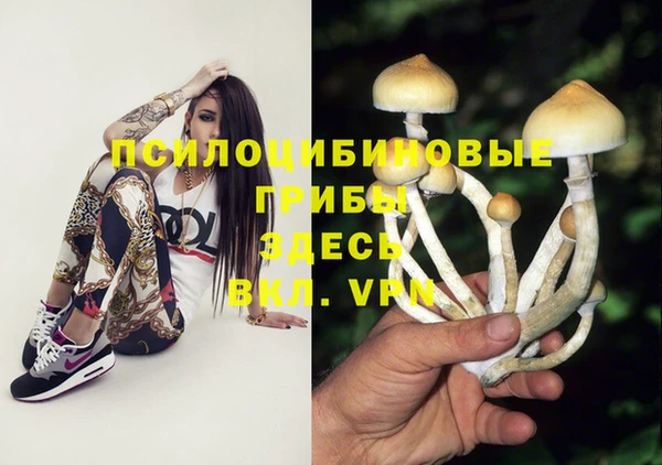 таблы Алзамай