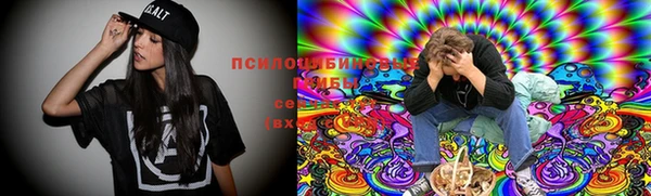 таблы Алзамай