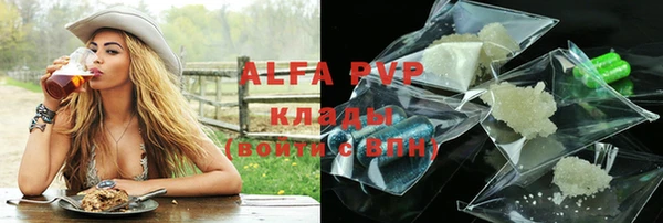 СК Алексин