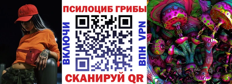 Псилоцибиновые грибы Cubensis  Камызяк 