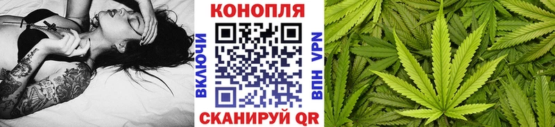 Канабис конопля  Камызяк 